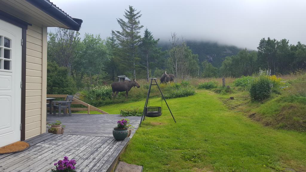 Holiday Home Lofoten Lyngværet المظهر الخارجي الصورة